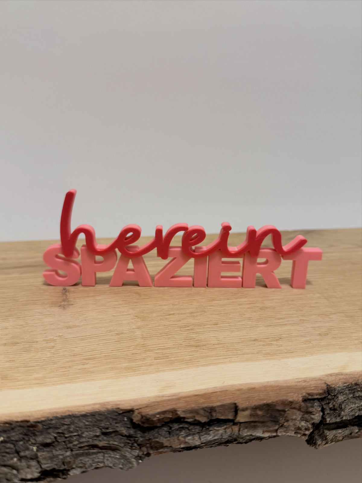 HEREINSPAZIERT | 3D DRUCK